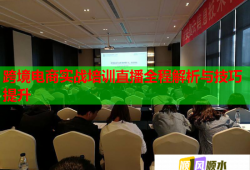 跨境电商实战培训直播全程解析与技巧提升