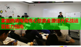 掌握跨境电商核心技能全面提升实战运营能力指南