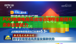 POD跨境电商实战培训课程全面提升卖家运营能力