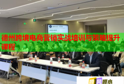德州跨境电商营销实战培训与策略提升课程