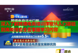 深入了解跨境电商培训课程从入门基础到高级技能全面掌握学习内容