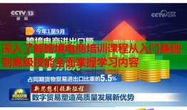 深入了解跨境电商培训课程从入门基础到高级技能全面掌握学习内容