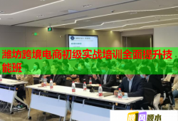 潍坊跨境电商初级实战培训全面提升技能班