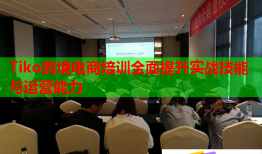 Tiko跨境电商培训全面提升实战技能与运营能力