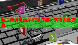 海口跨境电商系统操作与实战培训全攻略