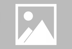 辽宁跨境电商实战培训助力企业国际市场拓展新机遇