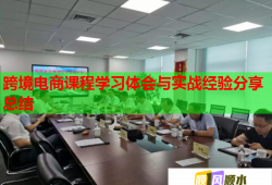 跨境电商课程学习体会与实战经验分享总结