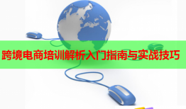 跨境电商培训解析入门指南与实战技巧