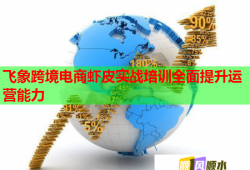 飞象跨境电商虾皮实战培训全面提升运营能力