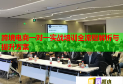 跨境电商一对一实战培训全流程解析与提升方案