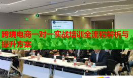跨境电商一对一实战培训全流程解析与提升方案