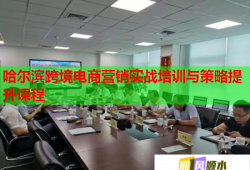 哈尔滨跨境电商营销实战培训与策略提升课程