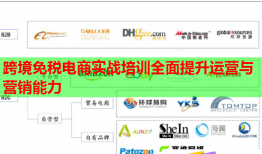跨境免税电商实战培训全面提升运营与营销能力