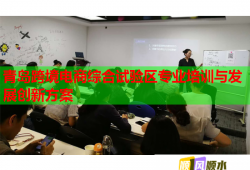 青岛跨境电商综合试验区专业培训与发展创新方案