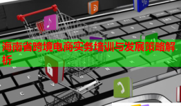 海南省跨境电商实务培训与发展策略解析