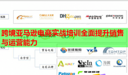 跨境亚马逊电商实战培训全面提升销售与运营能力