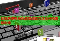 延安跨境电商实战培训助力企业开拓国际市场