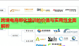 跨境电商孵化培训的价值与实用性全面解析