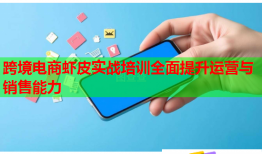 跨境电商虾皮实战培训全面提升运营与销售能力