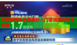 沈阳跨境电商零基础入门实战培训班全攻略