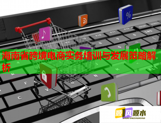 海南省跨境电商实务培训与发展策略解析