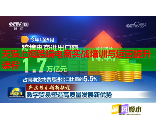 天猫上海跨境电商实战培训与运营提升课程
