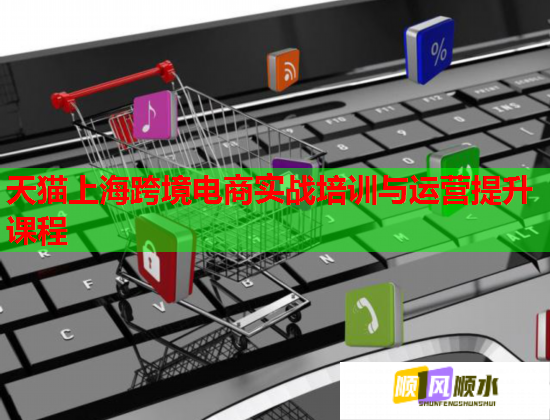 天猫上海跨境电商实战培训与运营提升课程