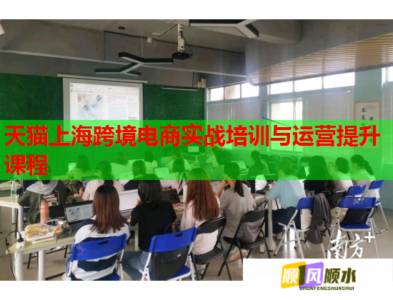 天猫上海跨境电商实战培训与运营提升课程