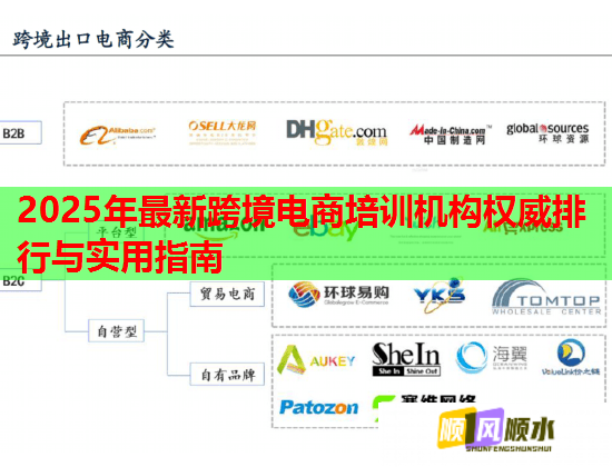 2025年最新跨境电商培训机构权威排行与实用指南