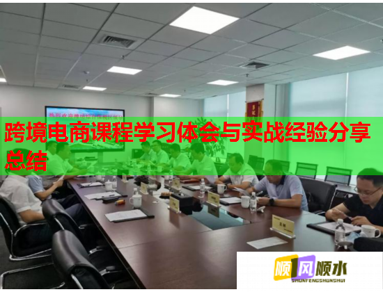 跨境电商课程学习体会与实战经验分享总结