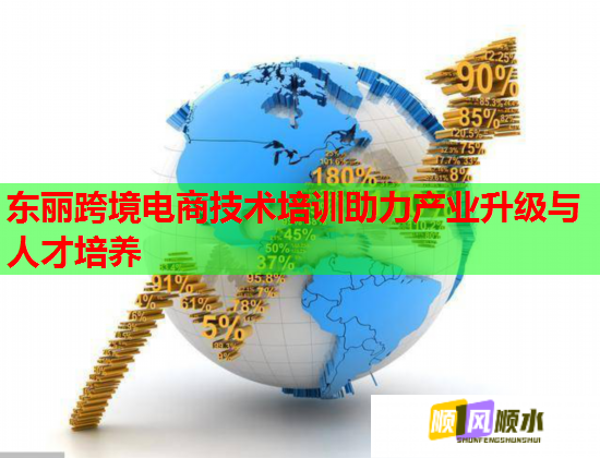 东丽跨境电商技术培训助力产业升级与人才培养