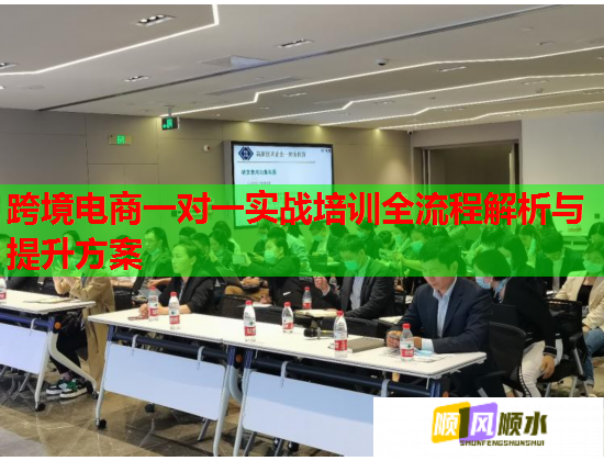 跨境电商一对一实战培训全流程解析与提升方案