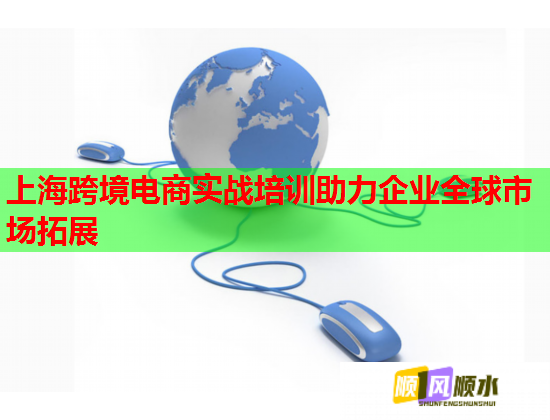 上海跨境电商实战培训助力企业全球市场拓展