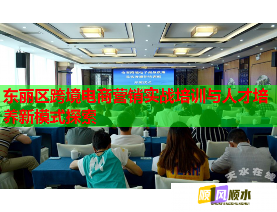 东丽区跨境电商营销实战培训与人才培养新模式探索