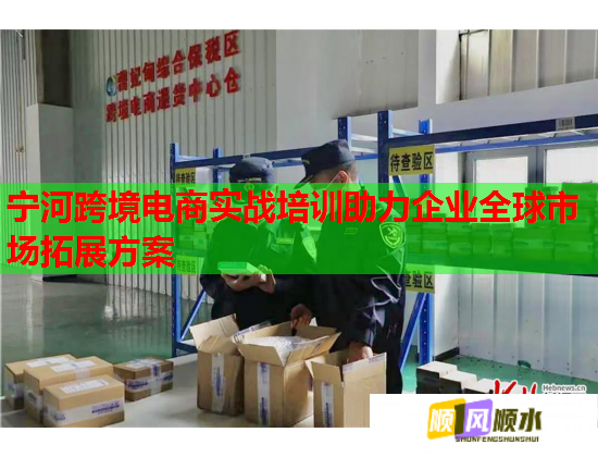 宁河跨境电商实战培训助力企业全球市场拓展方案