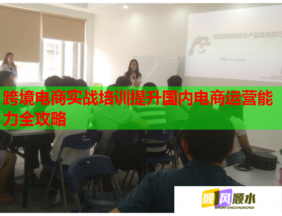 跨境电商实战培训提升国内电商运营能力全攻略