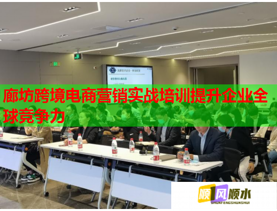 廊坊跨境电商营销实战培训提升企业全球竞争力