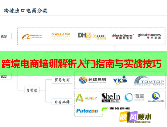 跨境电商培训解析入门指南与实战技巧