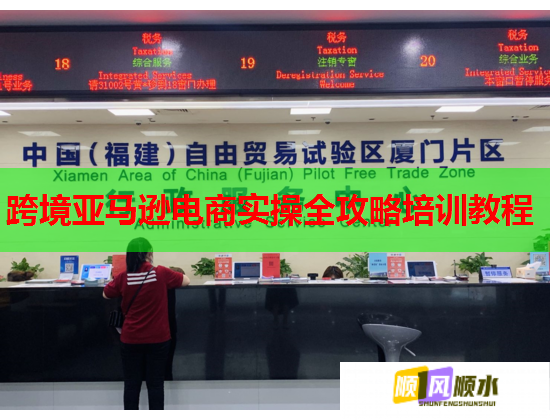 跨境亚马逊电商实操全攻略培训教程 跨境亚马逊电商实操全攻略培训教程